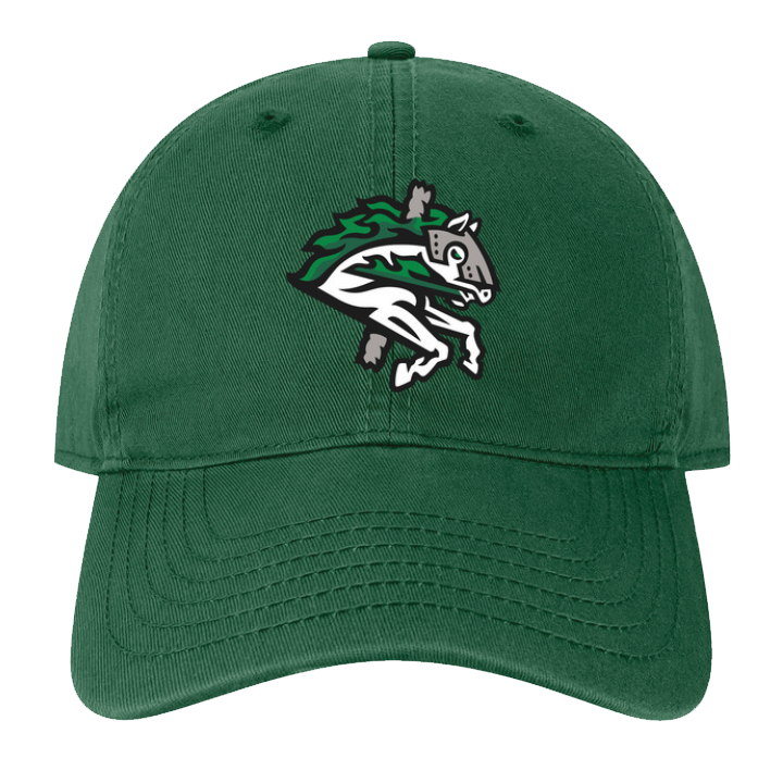 Binghamton Rumble Ponies Bad Witch Wicked Hat