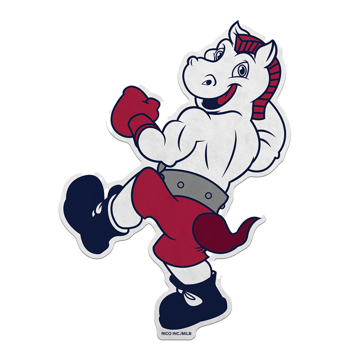 Rowdy The Rumble Pony Pennant
