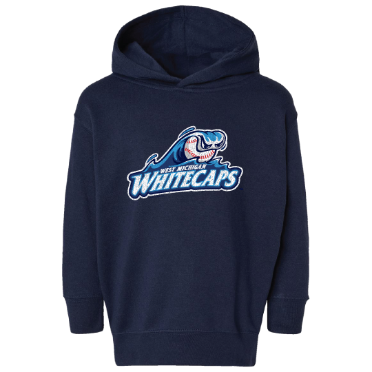 Toddler Navy Hoodie