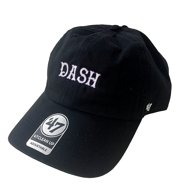 Winston-Salem Dash "Mini Script" Cap - '47 Brand Clean Up