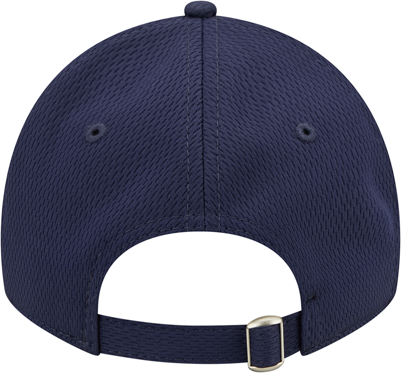 Round Rock Express New Era RR State Mesh 920