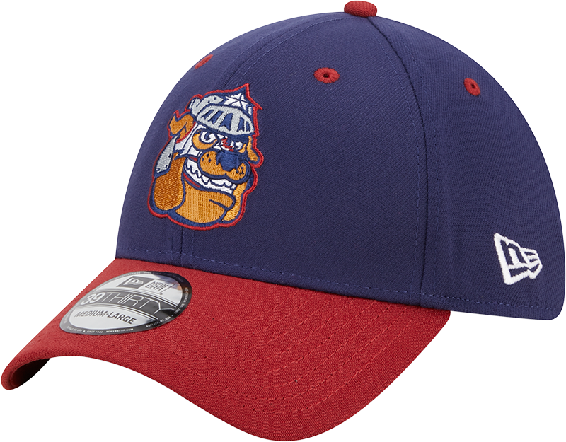 Round Rock Express New Era 2023 Marvel's Defenders of the Diamond New Era 3930