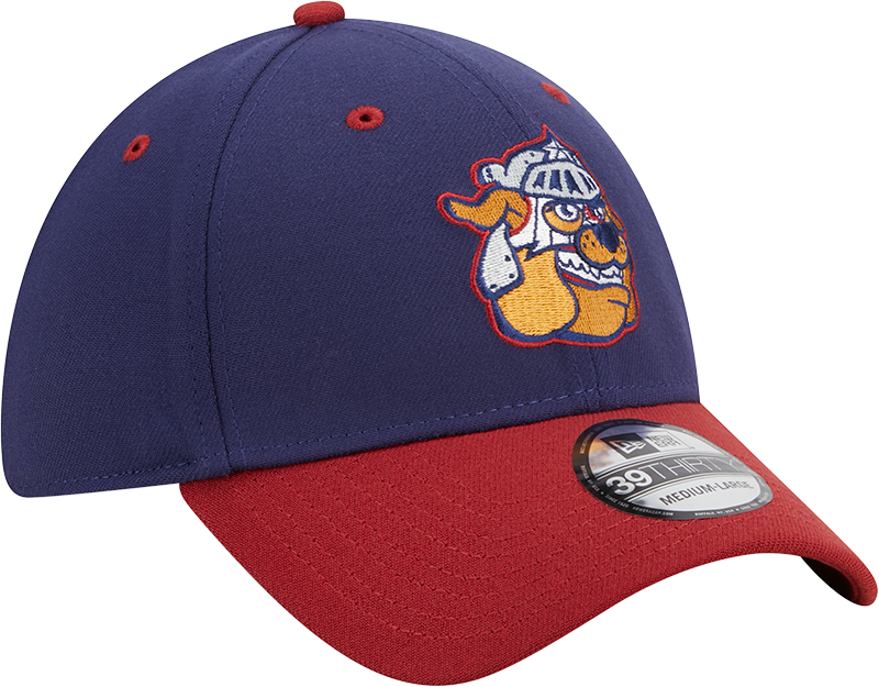 Round Rock Express New Era 2023 Marvel's Defenders of the Diamond New Era 3930