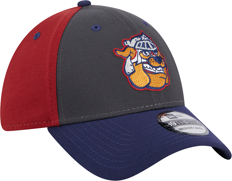 Round Rock Express New Era 2024 Marvel Defenders of The Diamond 3930