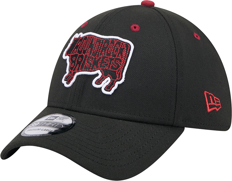 Round Rock Express New Era Briskets 3930
