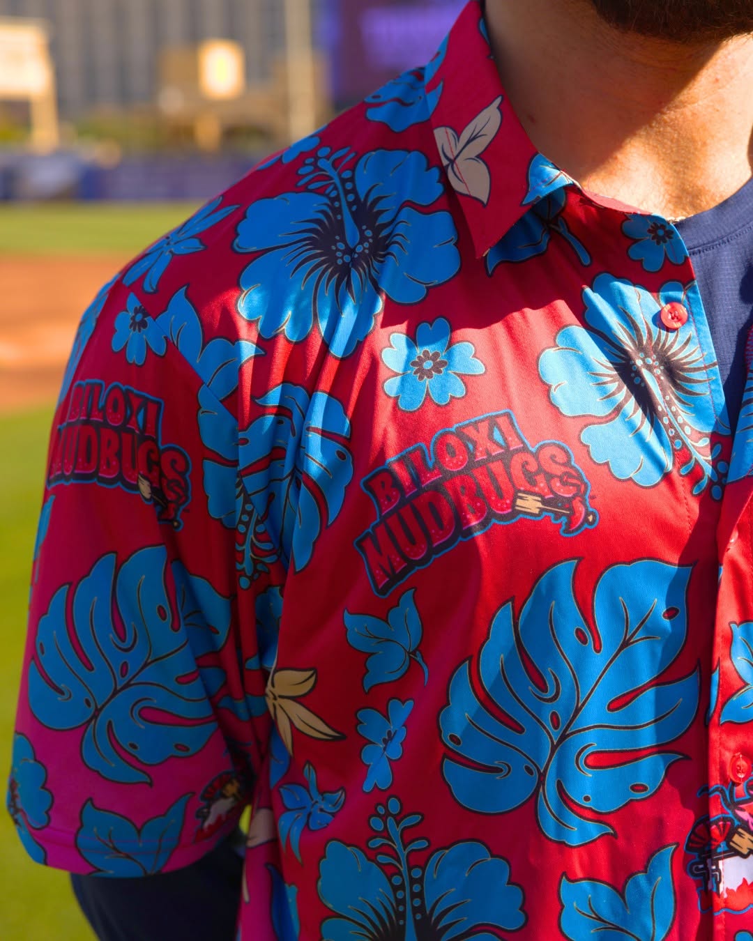 Biloxi Mudbugs 1.jpg