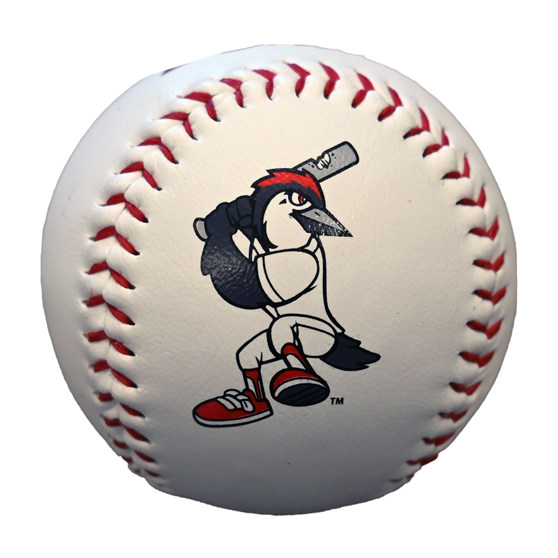 Fayetteville Woodpeckers Rawlings Bunker Baseball