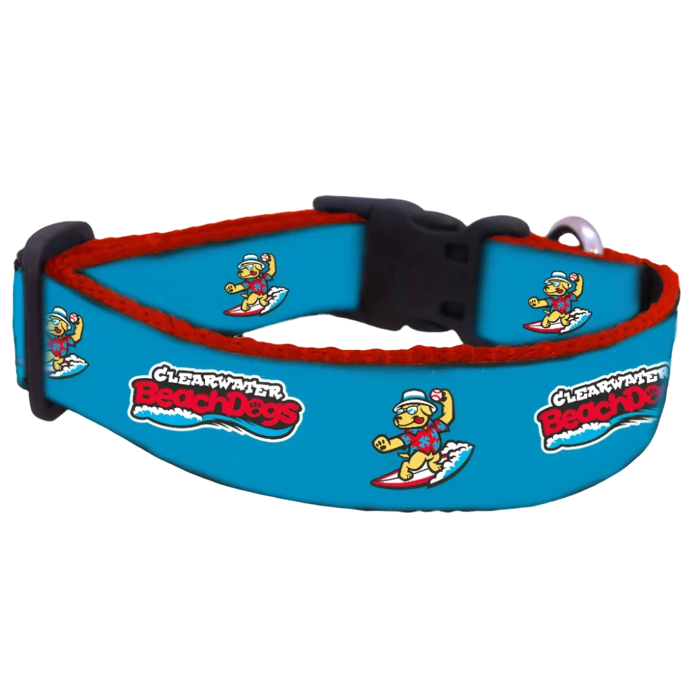 Clearwater Beach Dogs All Star Dog Collar