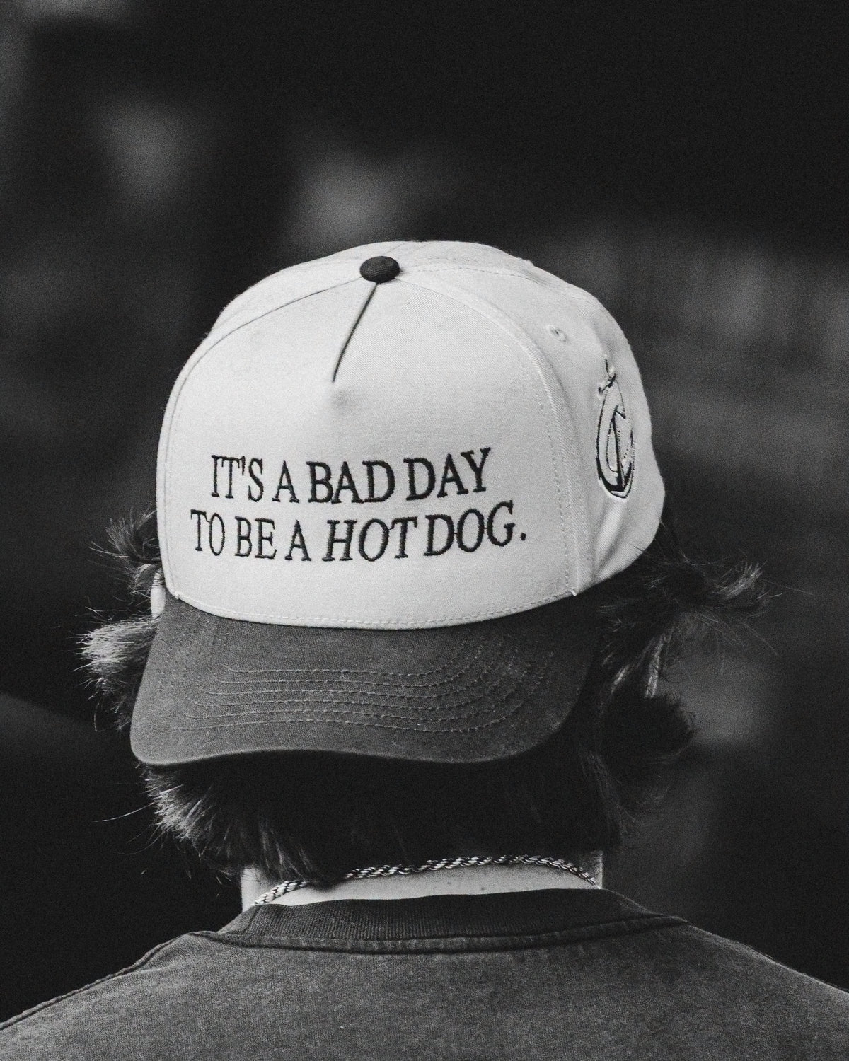Clippers Hot Dog 1.jpg