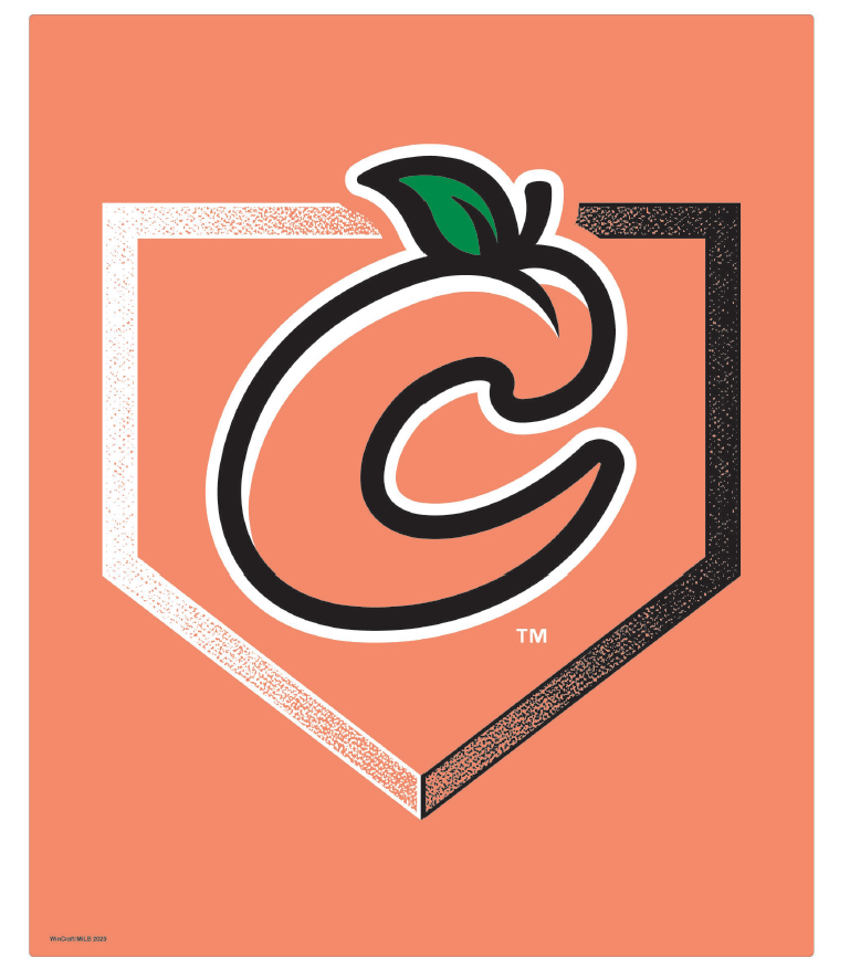 Home Plate Fleece Blanket
