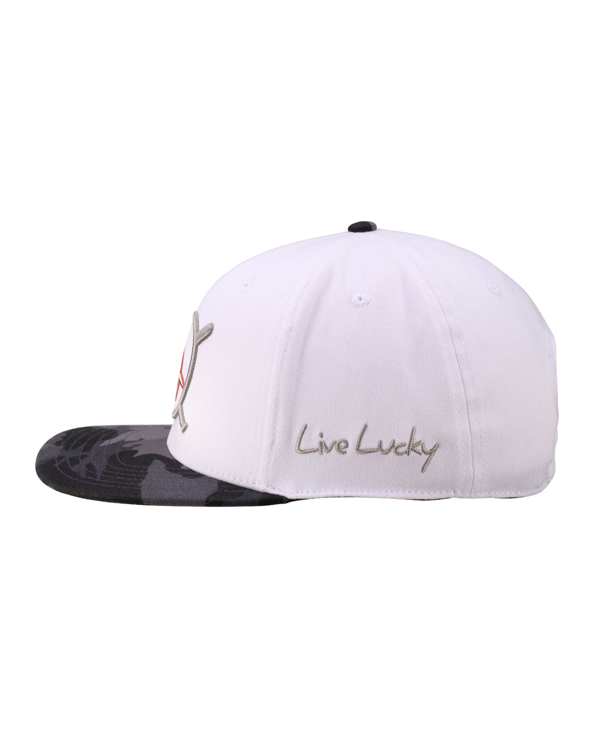 Delmarva Shorebirds Black Clover Infield Snapback