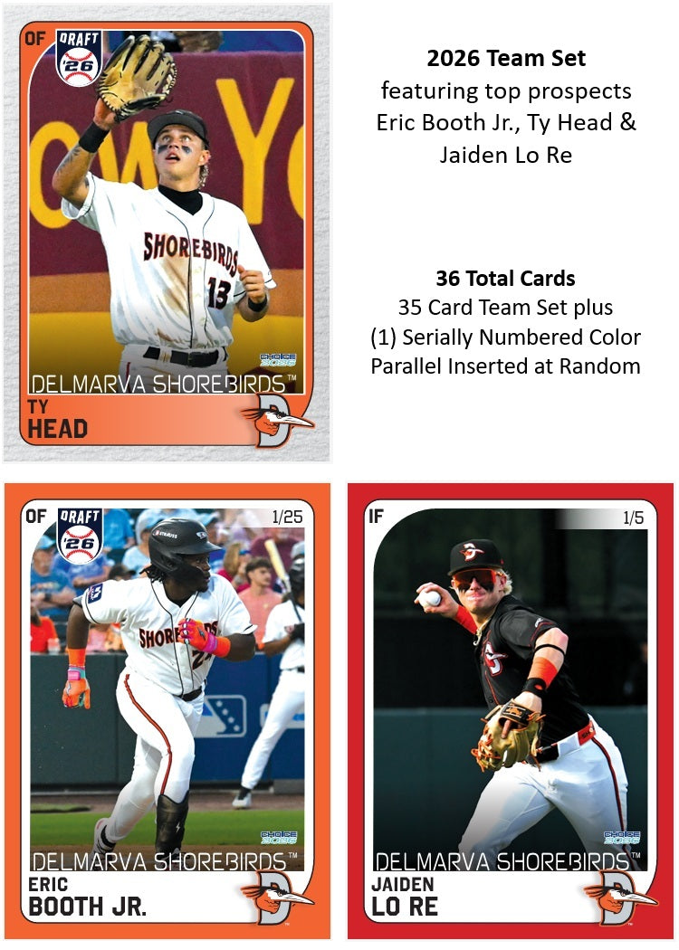 Delmarva Shorebirds 2026 Team Set