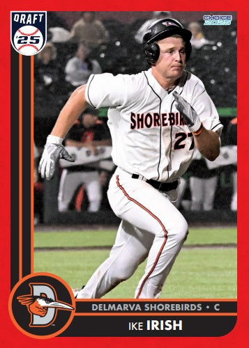 Delmarva Shorebirds 2025 Team Set