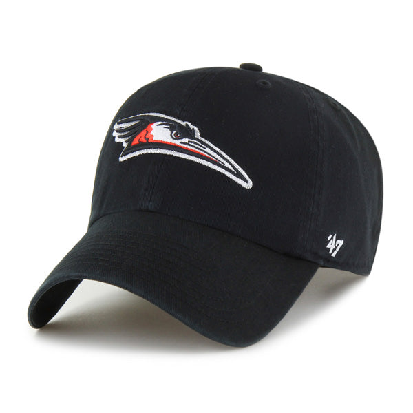 Delmarva Shorebirds '47 Home Logo Black Clean Up