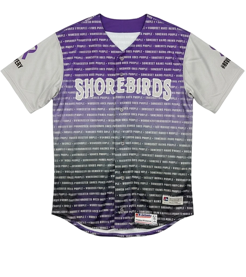 Delmarva Shorebirds 2024 Team Issued Go Purple Jersey