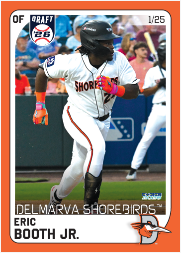 Delmarva Shorebirds 2026 Team Set