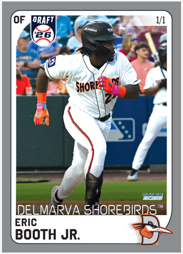 Delmarva Shorebirds 2026 Team Set