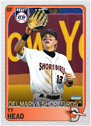Delmarva Shorebirds 2026 Team Set