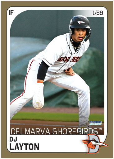 Delmarva Shorebirds 2026 Team Set