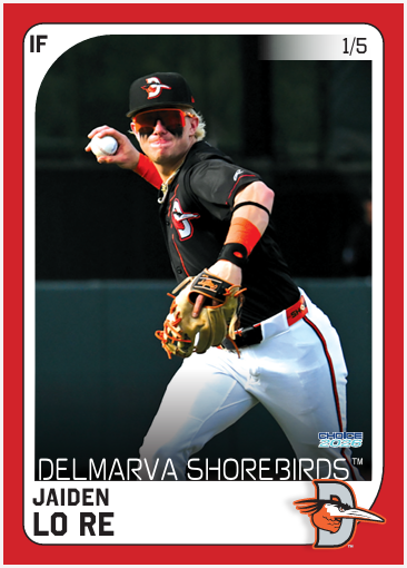 Delmarva Shorebirds 2026 Team Set