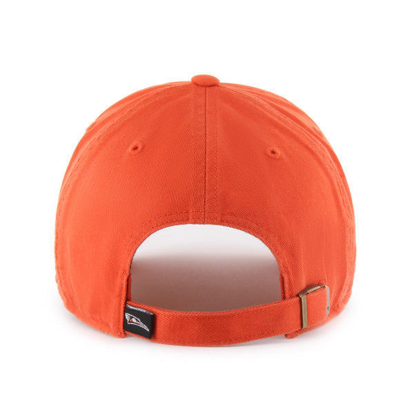 Delmarva Shorebirds '47 Home Logo Orange Clean Up