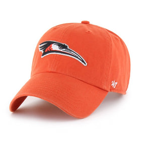 Delmarva Shorebirds '47 Home Logo Orange Clean Up