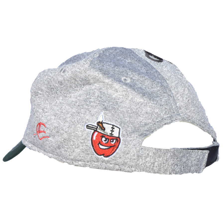 Fort Wayne TinCaps Gray Heather Duke Toddler Cap Back