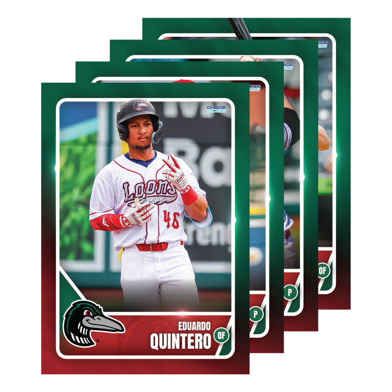 Great Lakes Loons 2026 Team Set