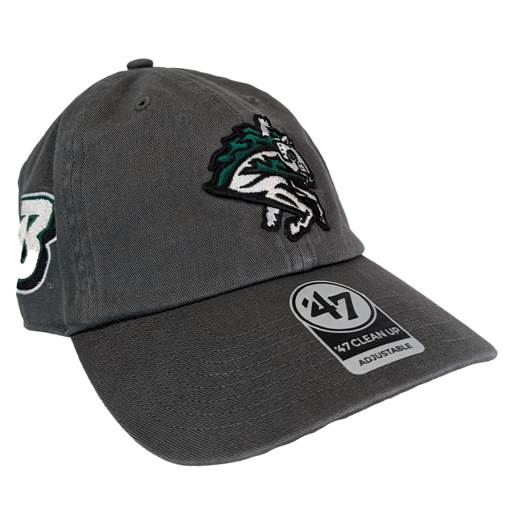Binghamton Rumble Ponies X Binghamton Bearcats Sure Shot Clean Up Hat