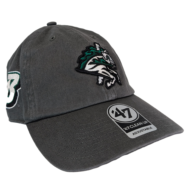 Binghamton Rumble Ponies X Binghamton Bearcats Sure Shot Clean Up Hat