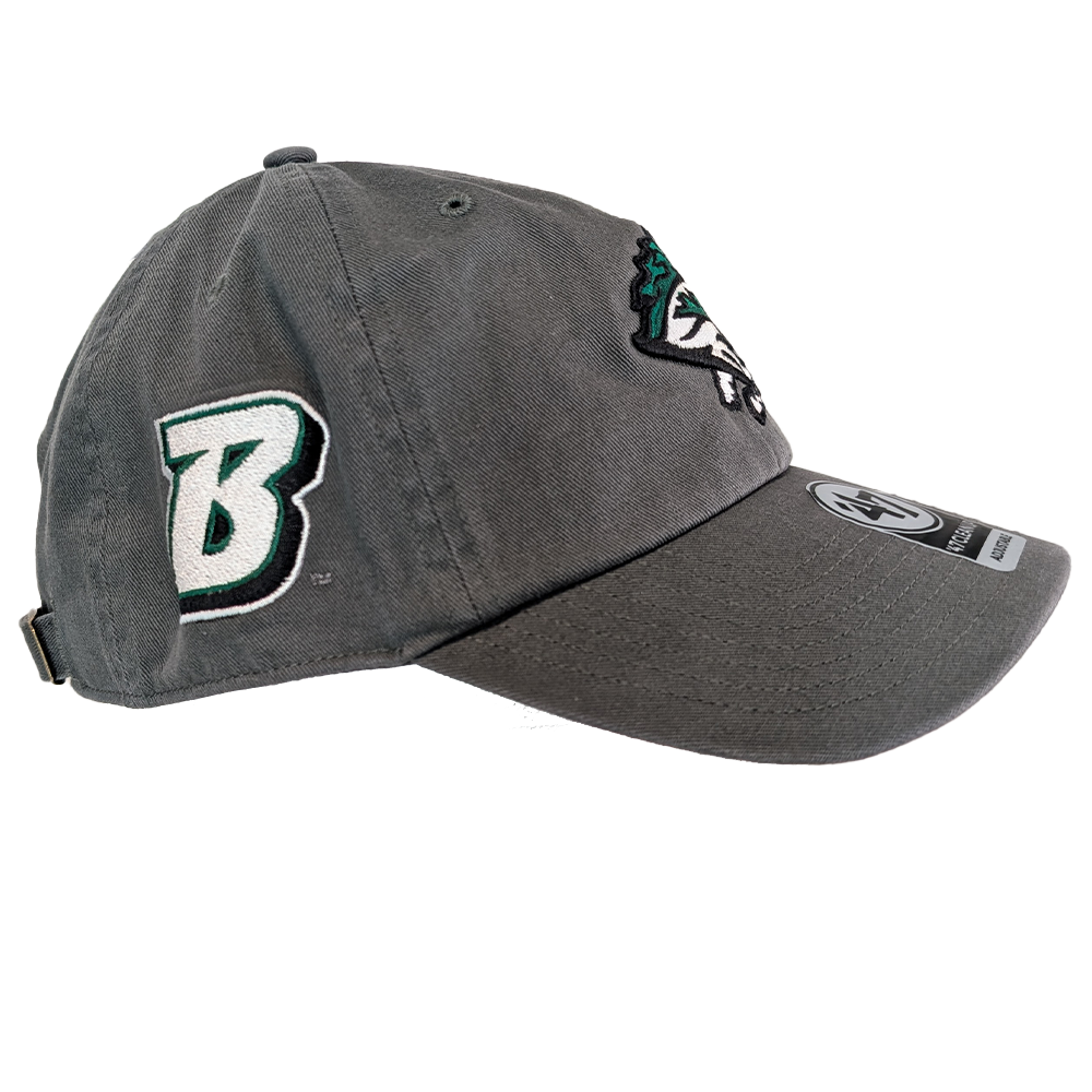 Binghamton Rumble Ponies X Binghamton Bearcats Sure Shot Clean Up Hat