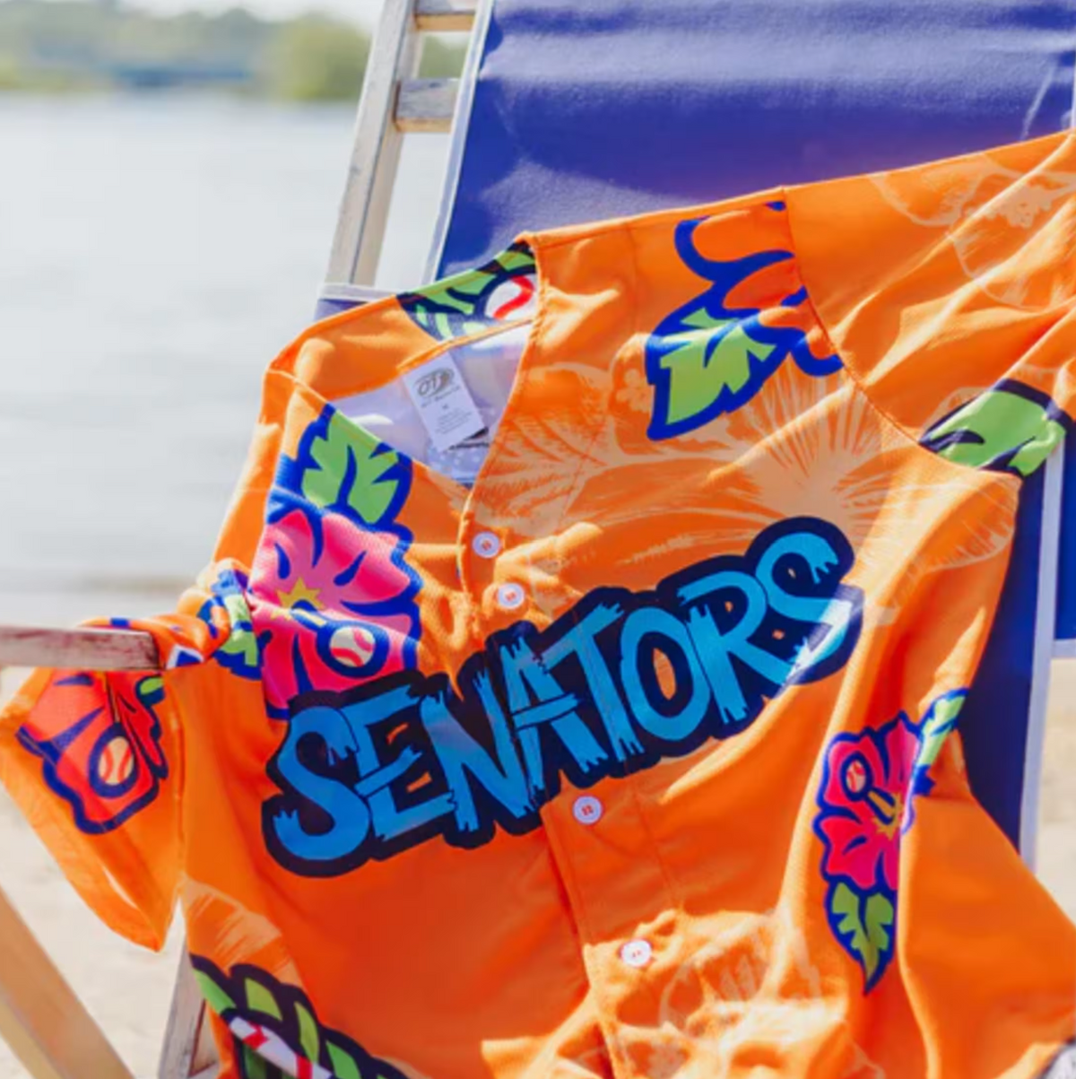 Harrisburg Senators Luau 3.png