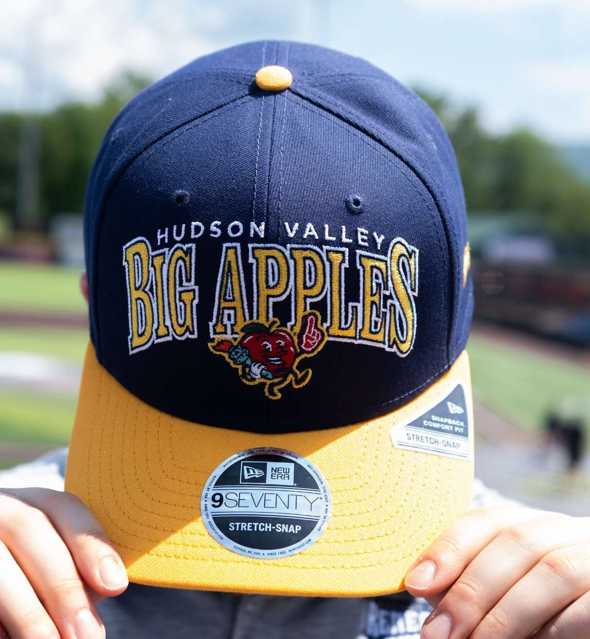 Hudson Valley Big Apples 2.png