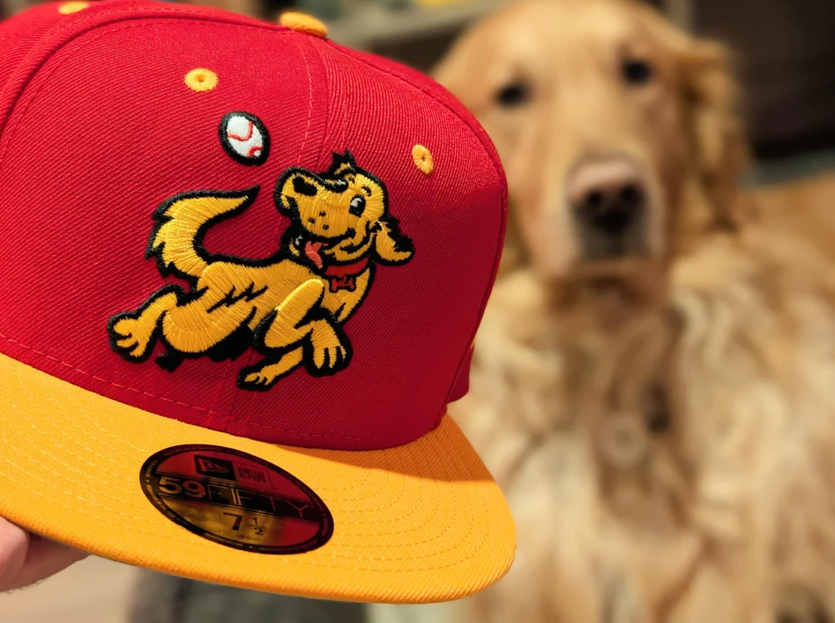 Hudson Valley Retrievers.png