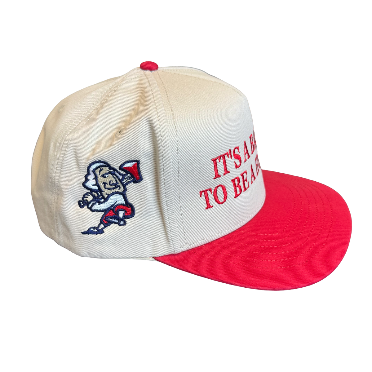 OC Bad Day to be a Hotdog Hat