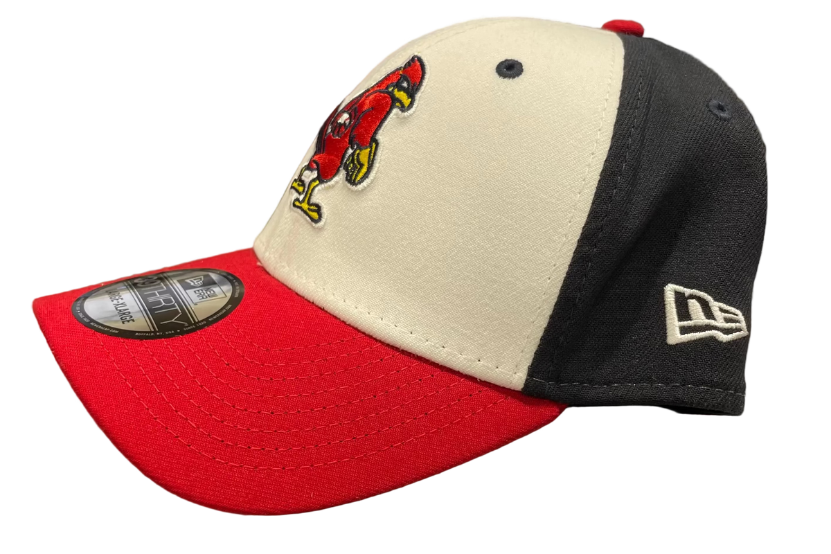 New Era 39Thirty Flex Fit Dirty Bird Cap
