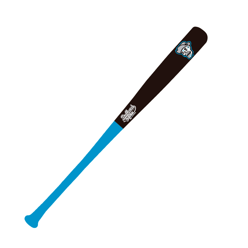 Ballpark Collectibles Las Vegas Reyes de Plata Skull Black/Blue 18" Mini Bat