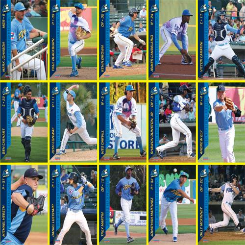 2015 Myrtle Beach Pelicans Choice Sportscards Team Set