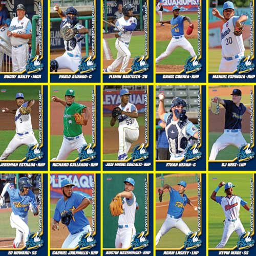 2021 Myrtle Beach Pelicans Choice Sportscards Team Set
