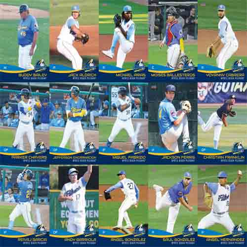 2023 Myrtle Beach Pelicans Choice Sportscards Team Set