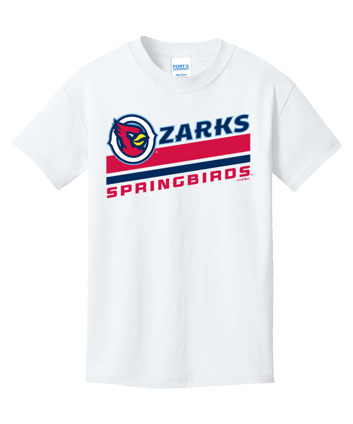 Ozarks Springbirds Stripe Skew Tee