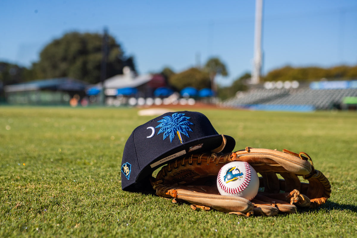Palmetto State Hat-2.jpg