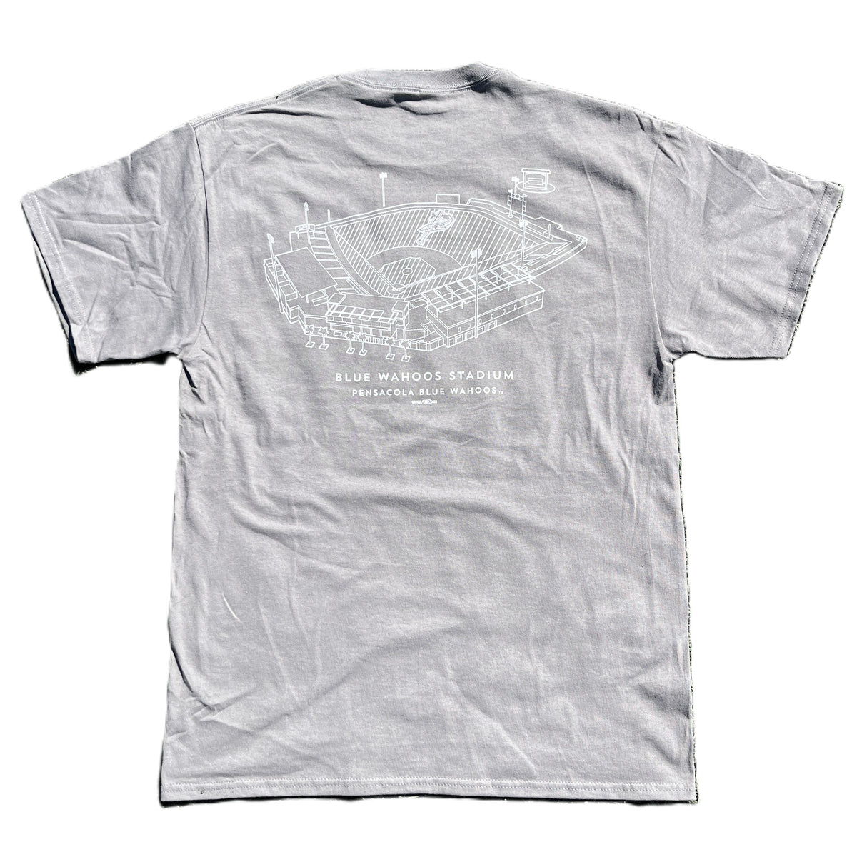 26GO Auburn Fallball Tee
