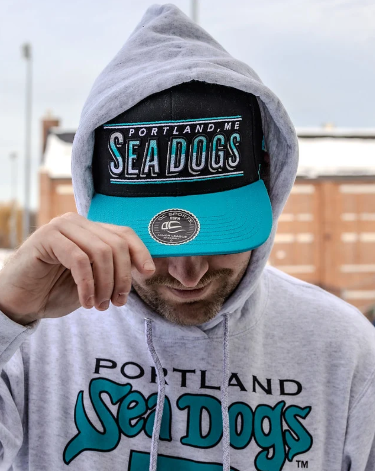 Portland Sea Dogs Retro Teal.png