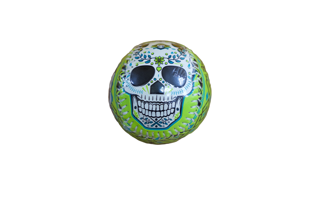Bradenton Barbanegras Sugar Skull Baseball