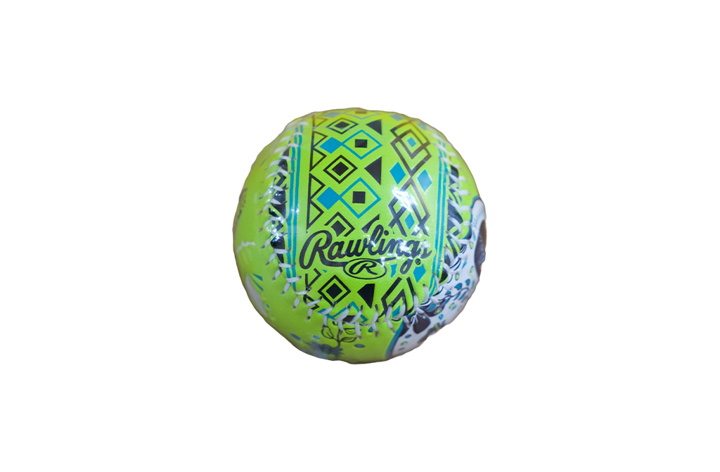 Bradenton Barbanegras Sugar Skull Baseball