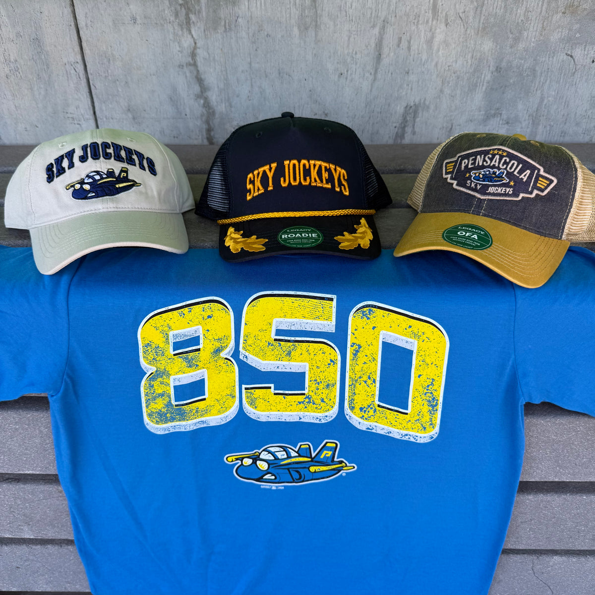 SJ merch photo.jpeg
