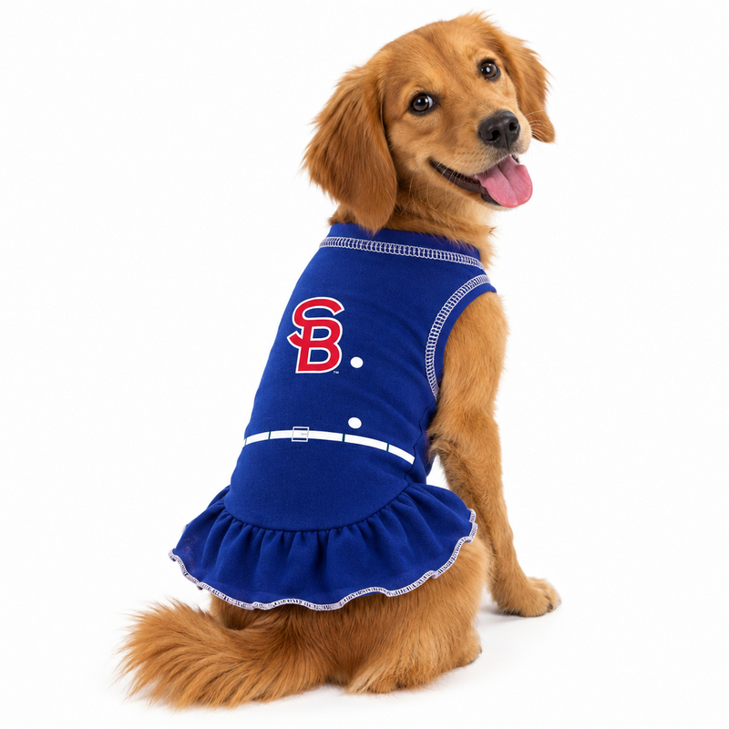 South Bend Cubs Dog Jersey Dress