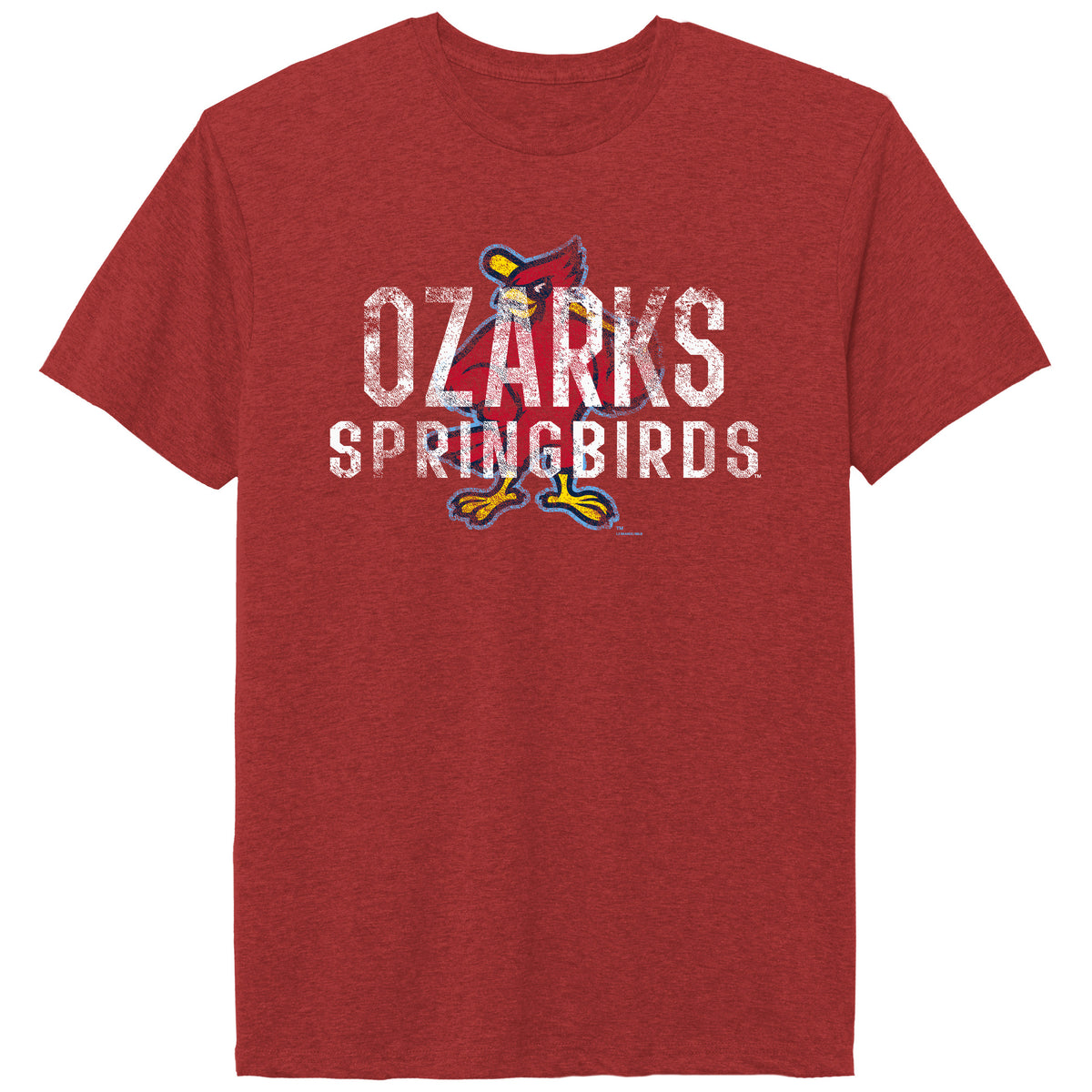 Ozarks Springbirds Washed Overlay Tee