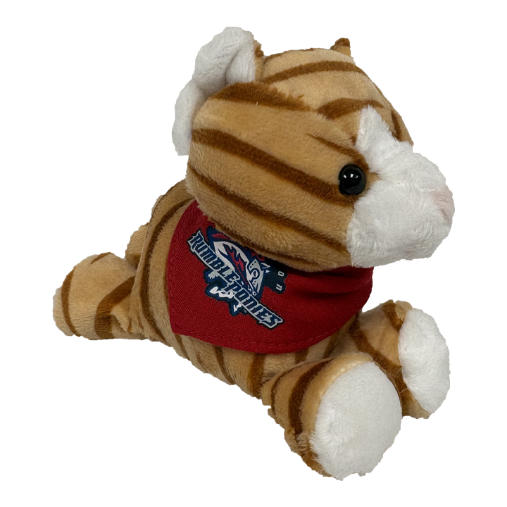 Binghamton Rumble Ponies Shortstack Tabby Cats